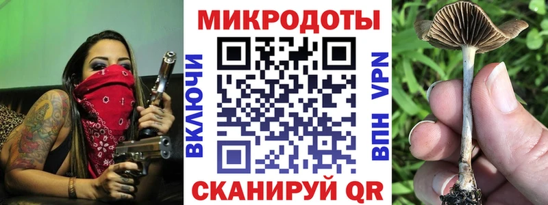 Псилоцибиновые грибы Cubensis  Алагир 