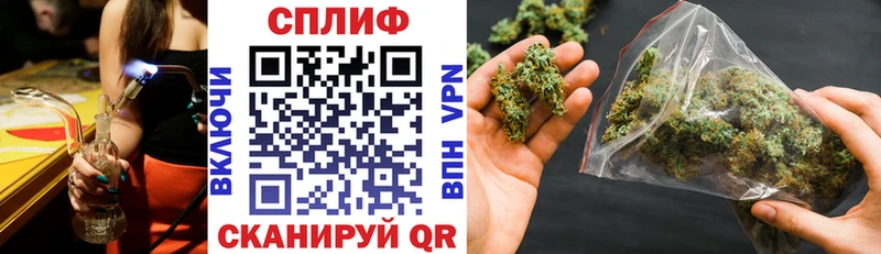Шишки марихуана планчик  нарко площадка наркотические препараты  Алагир 